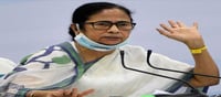 বাংলার কাশ ফুলকে তুলোর বিকল্প হিসেবে ব্যবহার করা যায় কি না ভেবে দেখতে বললেন মুখ্যমন্ত্রী